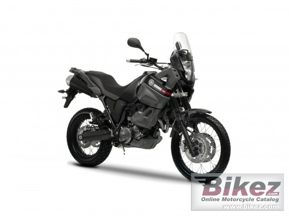 2011 Yamaha XT660Z Tenere ABS photo